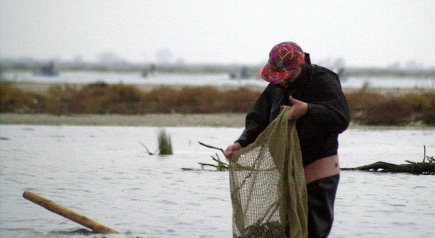 Pesca nelle lagune polesane