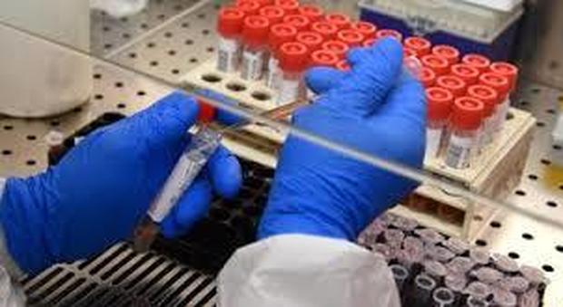Test anti-virus in 425 dicono no. Il presidente della Croce Rossa: «Occasione persa»