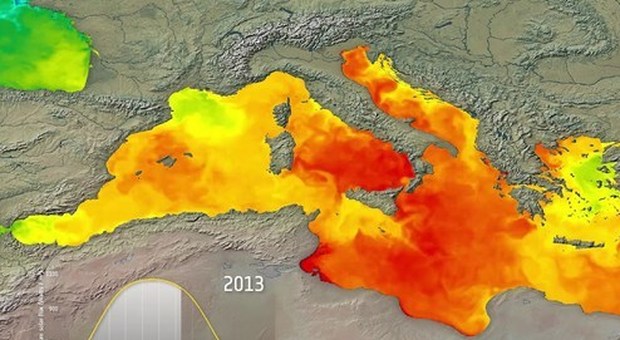 Mediterraneo sempre più caldo, +2 gradi in profondità: allarme Jonio e Adriatico