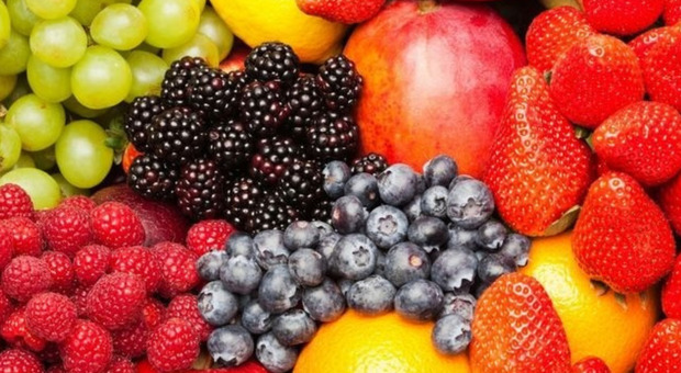 Fruit Logistica, Confagricoltura: Clima, inflazione e rincari mettono a rischio ortofrutta