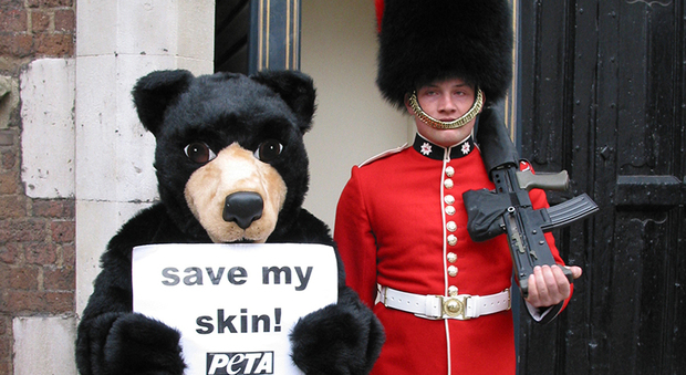 La protesta di Peta contro i colbacchi di pelliccia d'orso delle guardie reali britanniche (immag diffuse da Peta Dawn Carr)