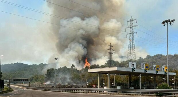 Incendi, l Italia brucia più di tutti: in un mese 33mila roghi. Allarme morti per il caldo