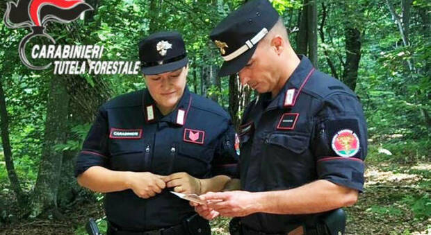 Carabinieri Forestale