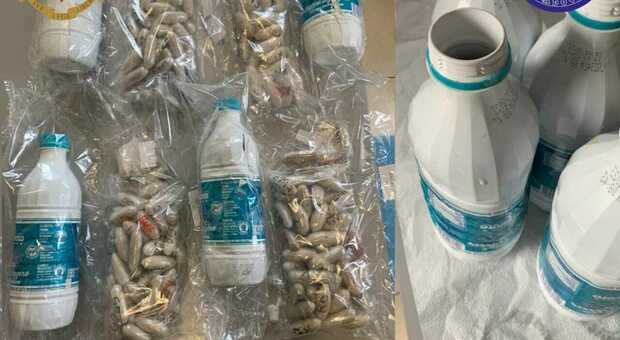 Le bottiglie di latte con la droga sequestrate a Padova