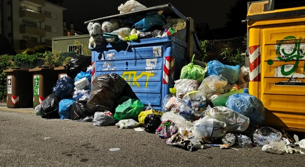 I rifiuti lungo le strade di Pordenone