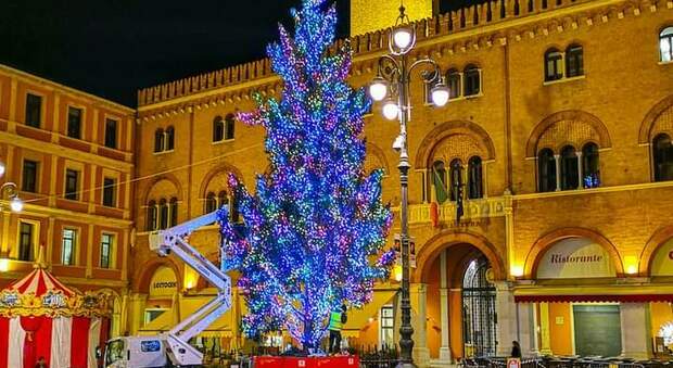 L'albero in piazza dei Signori a Treviso