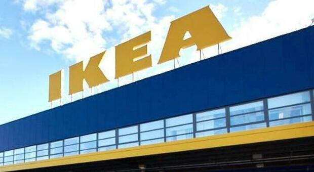 Il Paese russo e bielorusso erano il quinto e il sesto fornitore di legno di Ikea prima della guerra