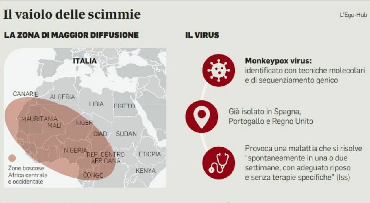 Vaiolo delle scimmie, primo caso a Roma: contagi solo per contatto. Ma si  frena sul vaccino