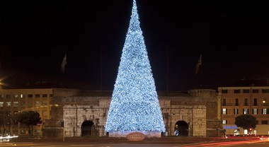 Albero Di Natale Grande.Torna Il Grande Albero Di Natale Bauli A Verona Acceso L Abete Alto 20 Metri